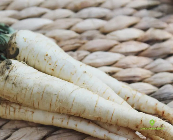 Pietruszka korzeń EKO 1 kg